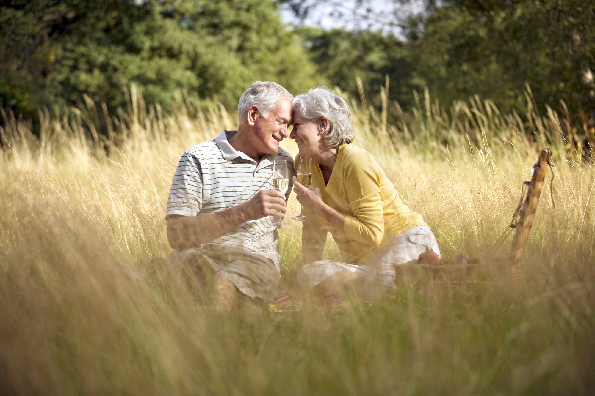 a-senior-couple-having-a-picnic-drinking-champagn-2026-01-11-08-06-47-utc