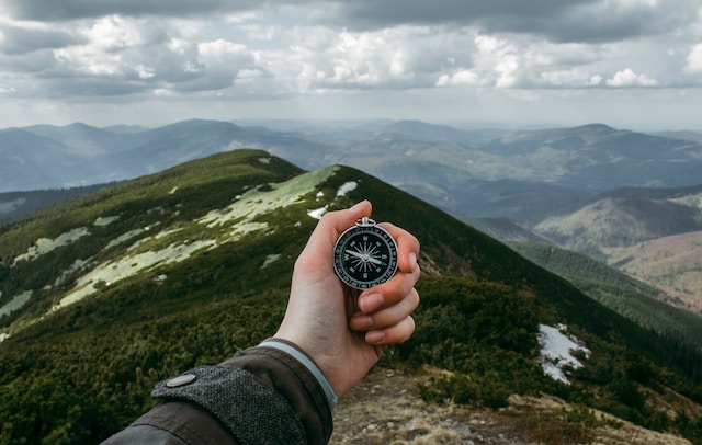 anastasia-petrova-xu2WYJek5AI-unsplash anastasia-petrova-xu2WYJek5AI-unsplash