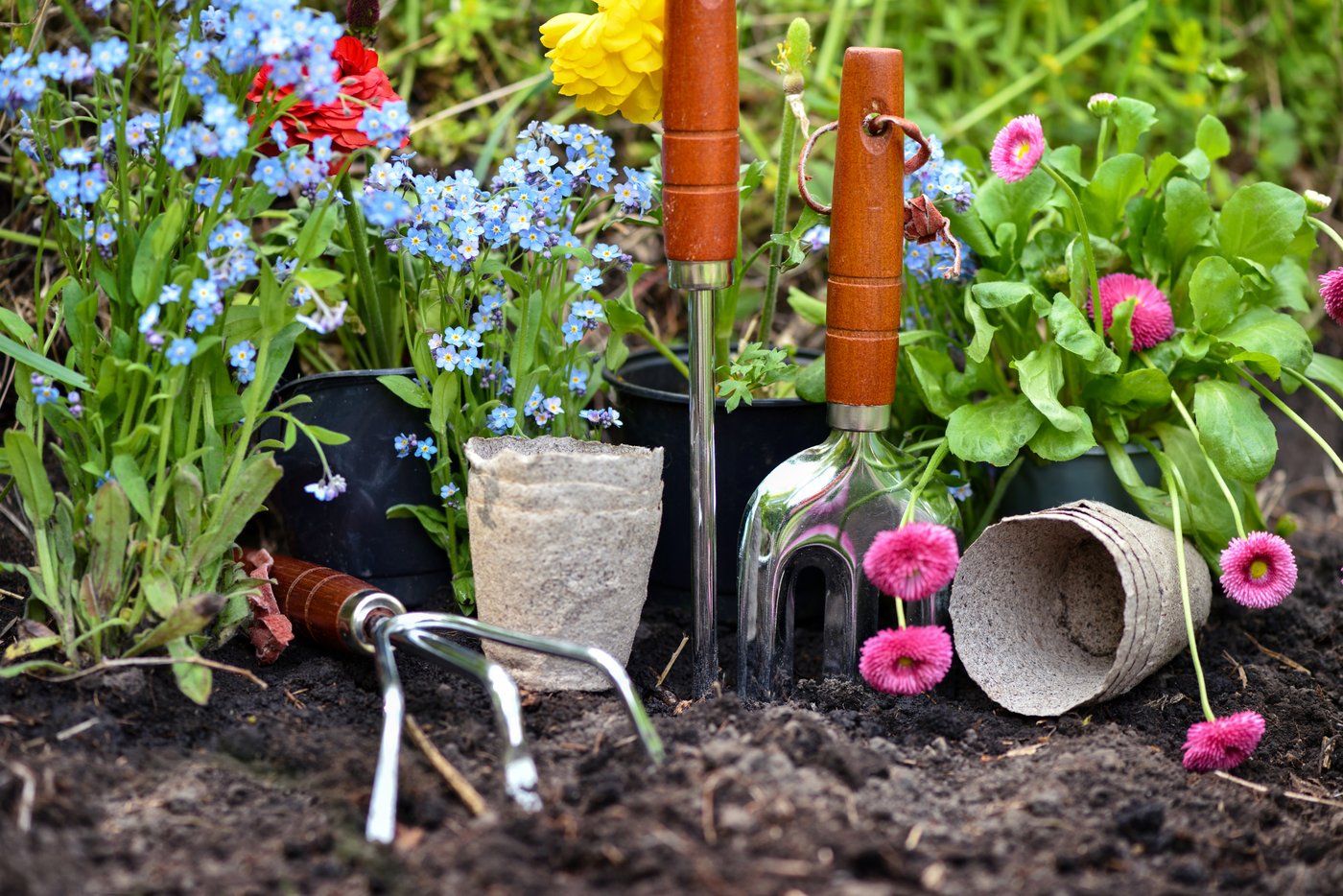 gardening-tools-and-spring-flowers-in-the-garden-2026-03-24-10-03-18-utc