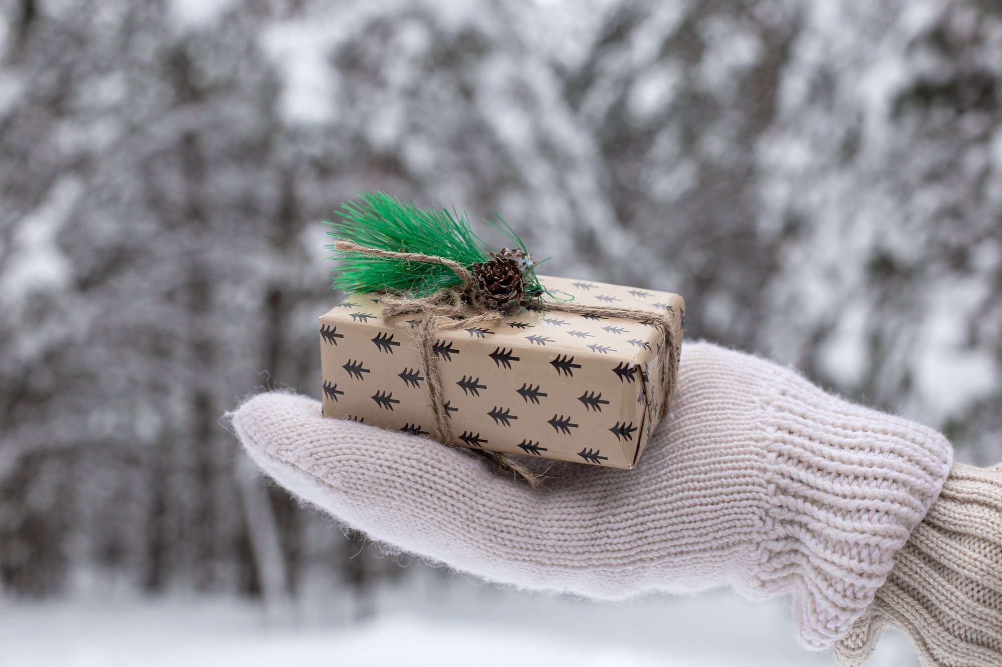 the-hand-in-white-mitten-are-holding-a-little-gift-2024-11-27-10-44-04-utc the-hand-in-white-mitten-are-holding-a-little-gift-2024-11-27-10-44-04-utc